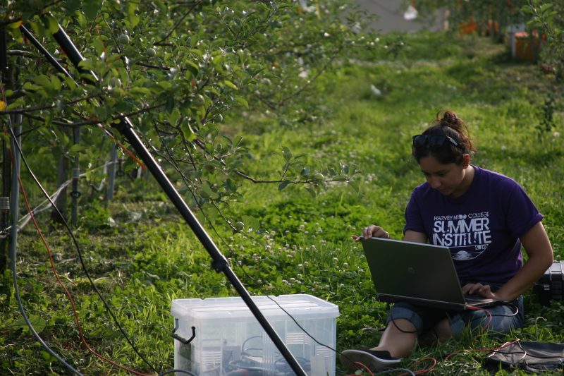 Briana Posadas, pictured conducting hyperspectral research in 2019, joined the Department of Agricultural, Community, and Leadership Education in September 2020 as a prestigious 2020 Computing Innovation Fellow.