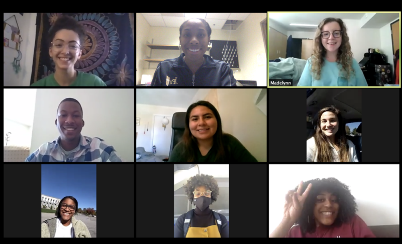 Zoom screen photo of IE Fellows