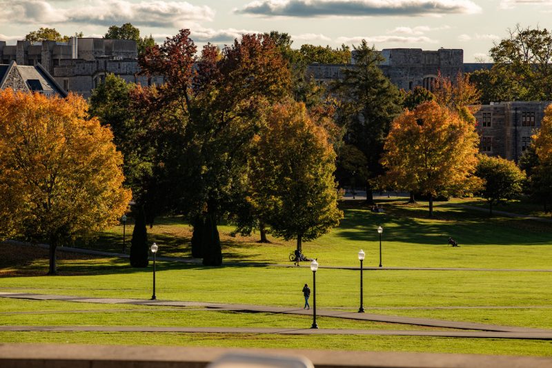 Fall colors
