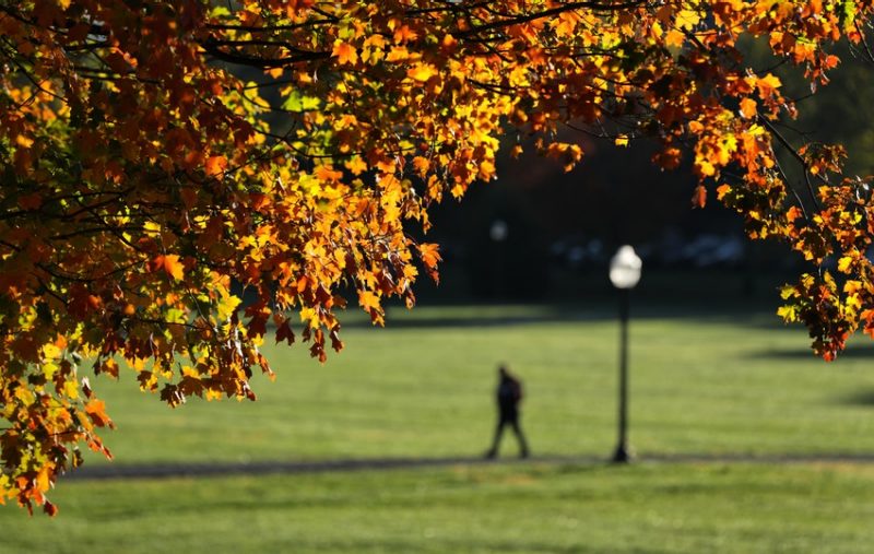 Fall colors 2020 Image of fall colors on trees along the Virginia Tech Drillfield