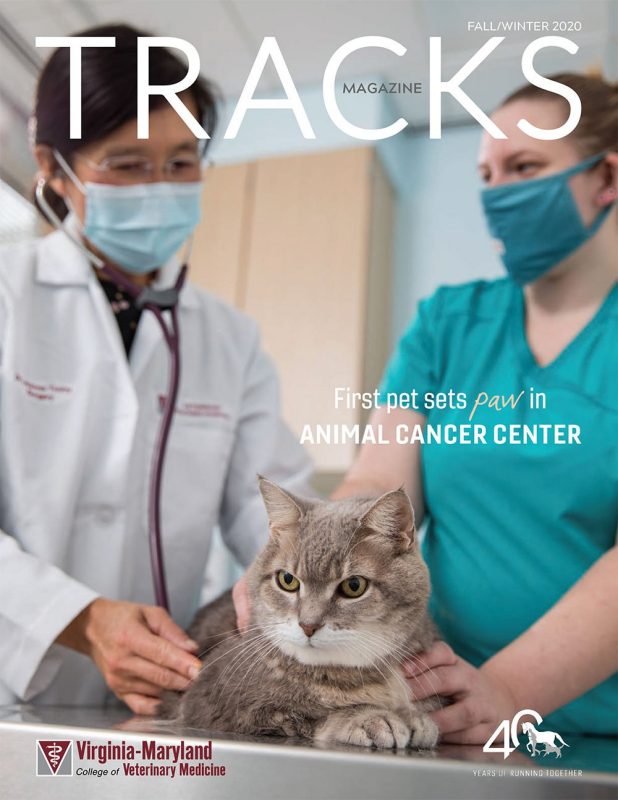 Virginia-Maryland College of Veterinary Medicine's Tracks Magazine, fall/winter 2020