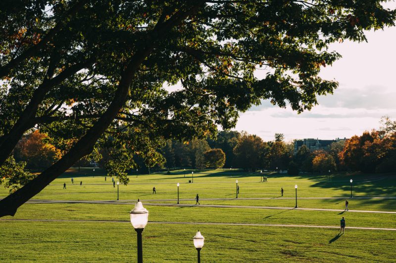 Fall foliage surrounding the Drillfield