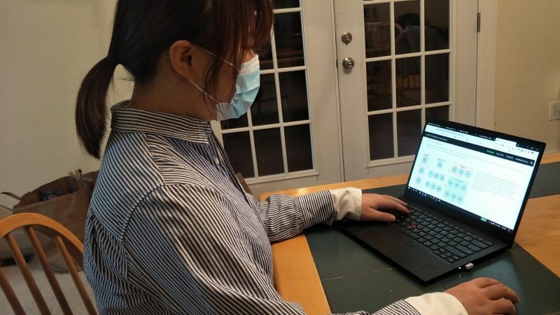 Yang Cheng, a graduate student in the Department of Agricultural and Applied Economics, using the Policy DA COVID-19 Influences & Impacts Database. The woman is sitting at her kitchen table, looking at a laptop.