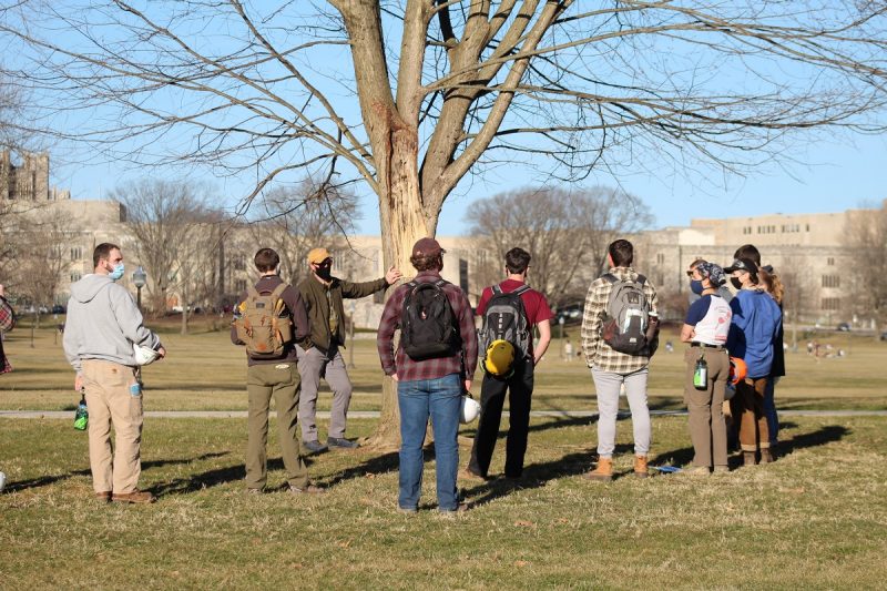 University Arborist Jamie King meets with Arboriculture Field Skills students at the Alwood Oak on the Drillfield about the field of arboriculture and techniques to preserve old trees. 