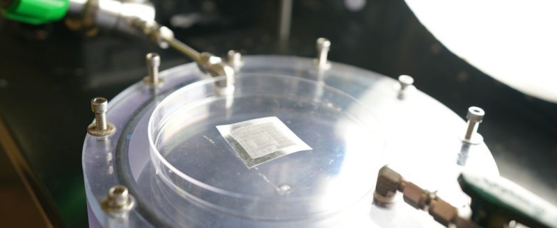 A synthetic feather with the pressure chamber created by Boreyko's team