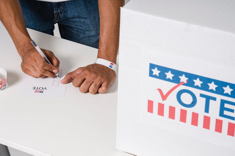 image of person voting 