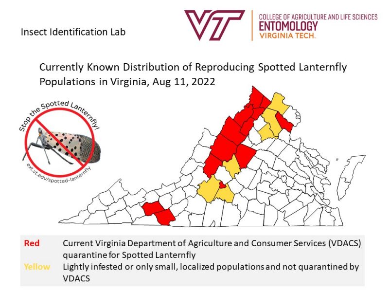 This 2022 map shows spotted lanternfly reports in Virginia. 