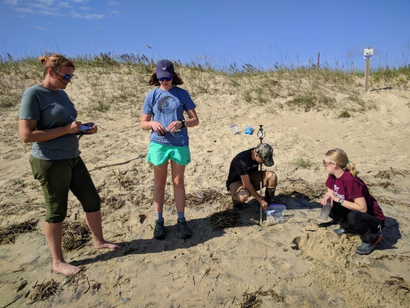  Nina Stark, Abby Burke, Casey Peloquin, and Julie Paprocki collect samples in coastal sand.