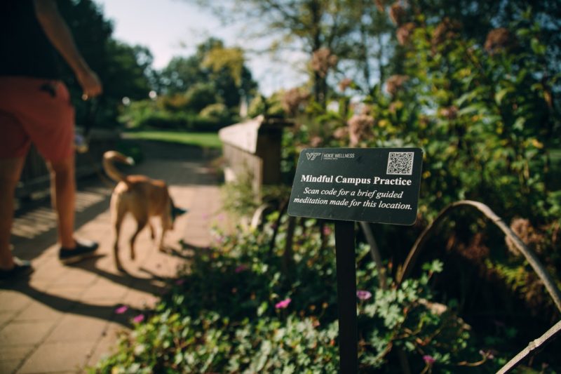 person walking through garden