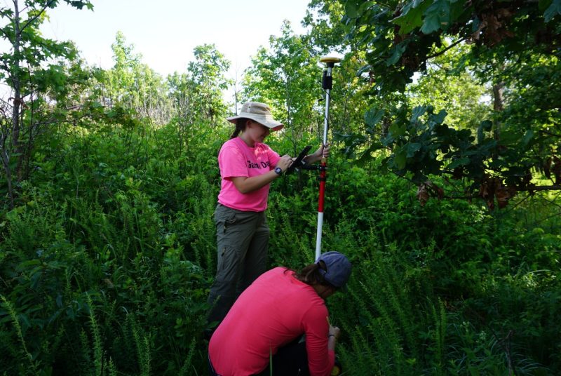 Two researchers operate an instrument attached to a tall pole while standing in a forest.
