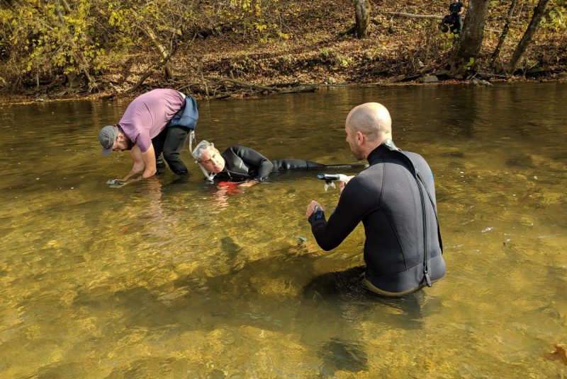 Three researchers take photos as they're immersed in a river. One is wearing a hat and pink shirt, standing up but bent at the waist holding a camera in the water. Another is in a wetsuit, laying down in the river, camera underwater with snorkel gear on his face. The third is in a wetsuit squatting into the river.