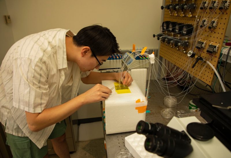 Bohan Zhu in the lab
