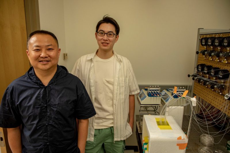 Chang Lu and Bohan Zhu in the lab