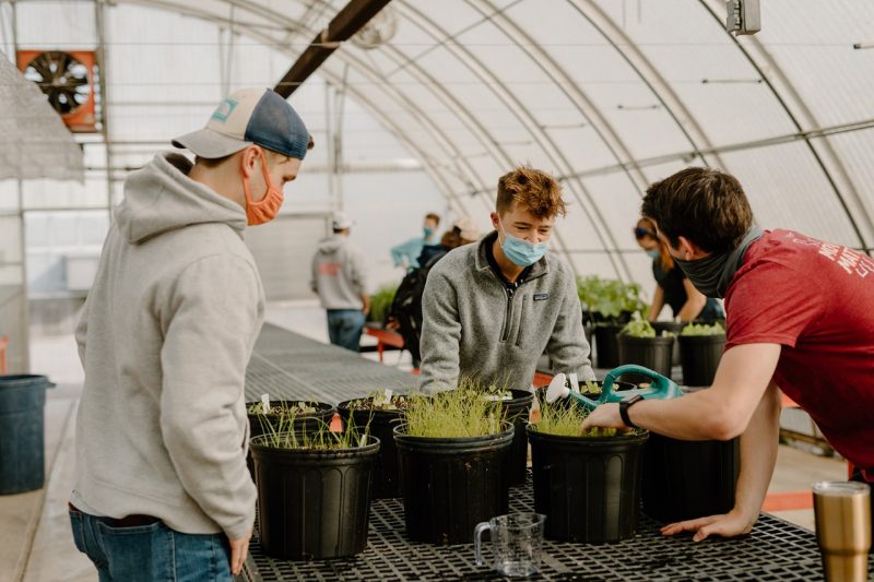 The Agricultural Technology Program takes traditional topics and adds hands-on labs. Students go outside the classroom to install a landscape they designed, conduct soil tests, and plant tissue analyses, calibrate sprayers, artificially inseminate cattle, or analyze a business enterprise.