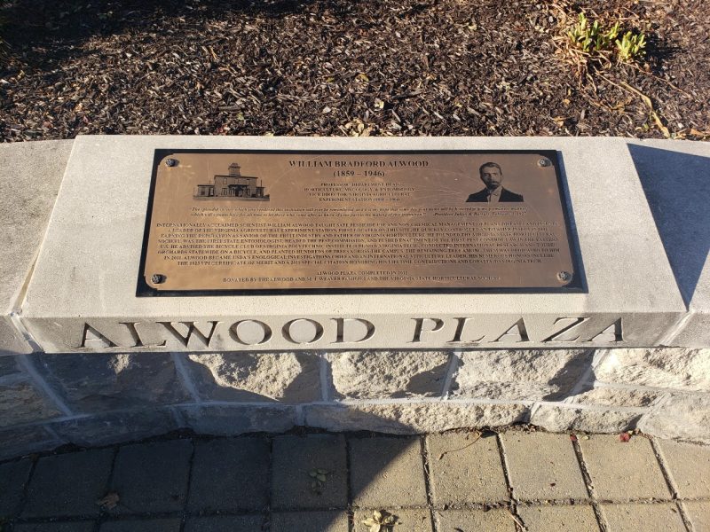 Alwood Plaza photo in 2021