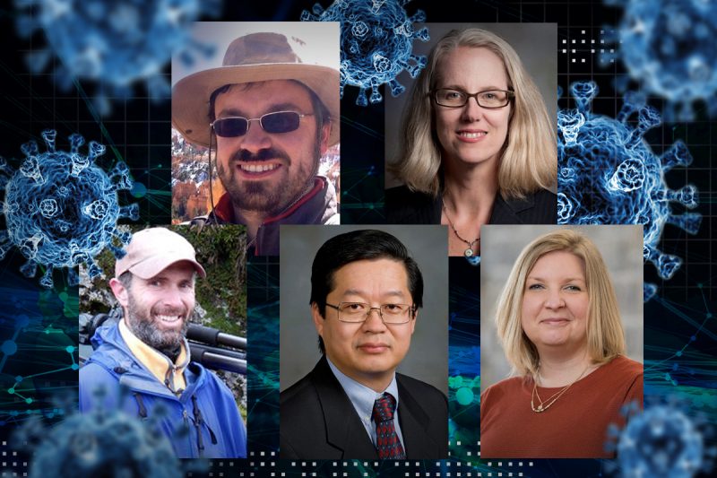 From left to right: Ignacio Moore, professor of biological sciences; Jeremy Draghi, assistant professor of biological sciences; X.J. Meng, interim executive director for the Fralin Life Sciences Institute; Glenda Gillaspy, professor of biochemistry; and Kylene Kehn-Hall, associate director of CeZAP and professor of biomedical sciences and pathobiology. Blue coronaviruses, the virus that causes COVID-19, are floating around their headshots. 