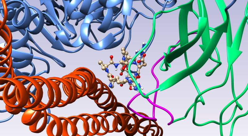 alphaCT11 molecule binding to PI3K 
