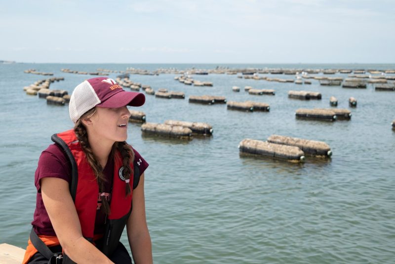 A graduate student sits on a boat in the Chesapeake Bay on a visit to an oyster farm.