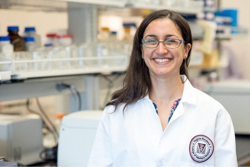 Nisha Duggal, an assistant professor of biomedical sciences and pathobiology in the Virginia-Maryland College of Veterinary Medicine, is standing in her lab in a white lab coat.