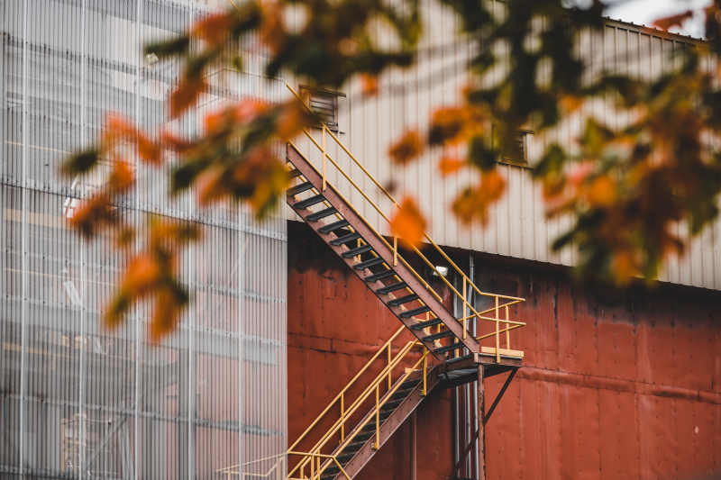 Autumnal leaves in front of a red building with external stairways alongside it