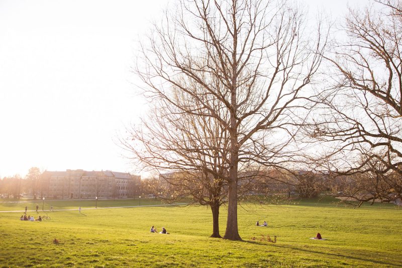 Late afternoon image of the Drillfield in early spring