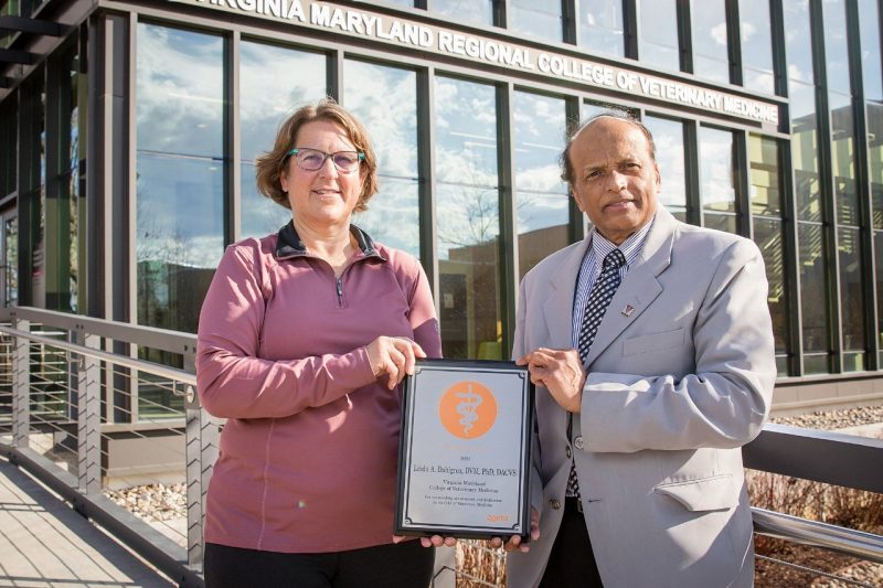 Linda Dahlgren, professor of large animal surgery, receives the 2021 Zoetis Award for Veterinary Research Excellence from S. Ansar Ahmed, associate dean for research and graduate studies at the Virginia-Maryland College of Veterinary Medicine. Linda Dahlgren, professor of large animal surgery receives the 2021 Zoetis Award for Veterinary Research Excellence from S. Ansar Ahmed, associate dean for research and graduate studies at the Virginia-Maryland College of Veterinary Medicine.