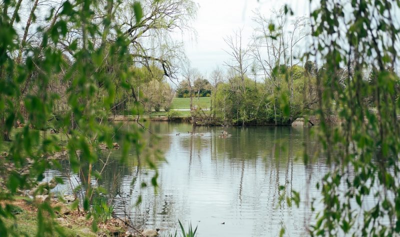 Image of the Duck Pond on a spring day