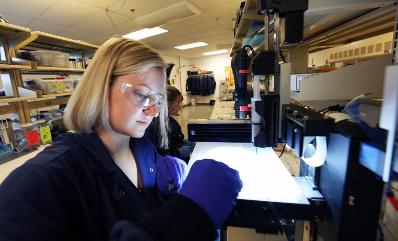 Gwyn Schloer works with 3D-printed soft electronics in the lab of Michael Bartlett.