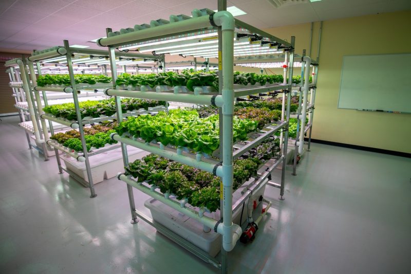 Indoor agriculture.