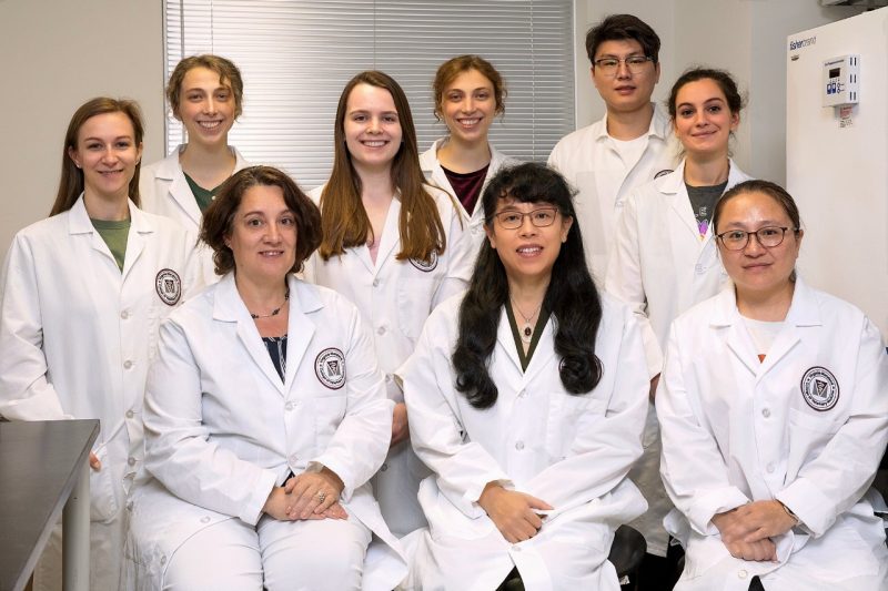 The Yuan Laboratory team, Department of Biomedical Sciences and Pathobiology, Virginia-Maryland College of Veterinary Medicine. Photo by Andrew Mann for Virginia Tech.