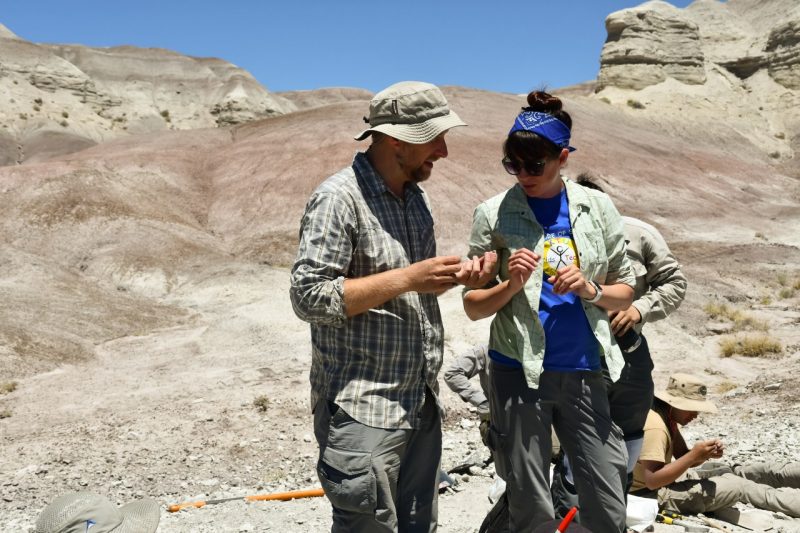 A man and women look at a possible fossil at Petrified National Forest in Arizona.