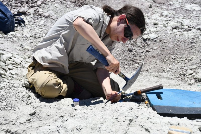 A young woman uses a pick-ax and hammer to break into rock bed at Petrified National Forest. 