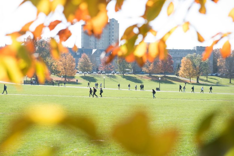 Photo shows what fall on the Drillfield looks like.