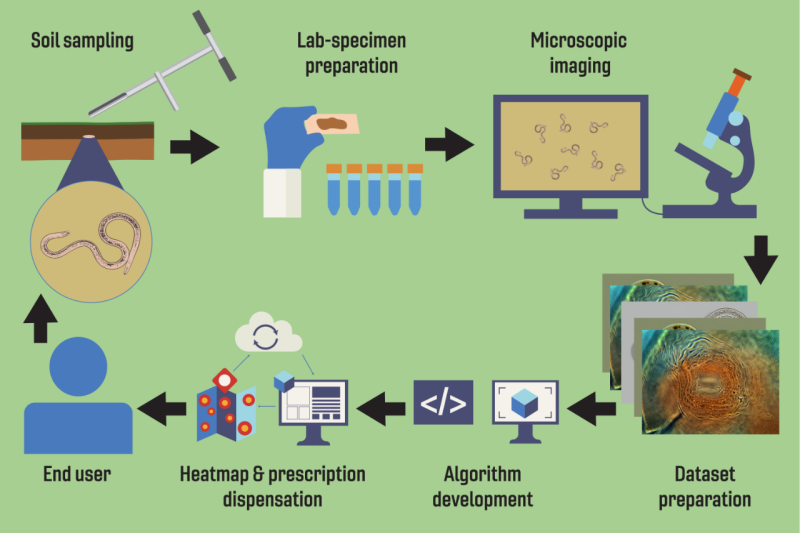 Graphic showing the research process