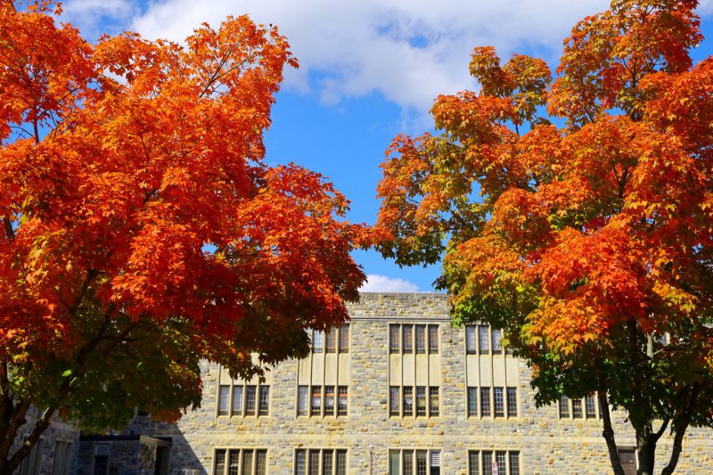 Two trees with fall color in front a building on the Blacksburg campus