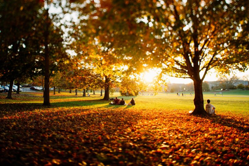 Blacksburg campus in the fall, late sun shining, leaves fallen