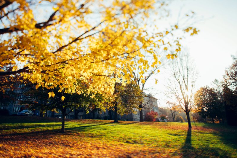 A fall landscape on Virginia Tech's Blacksburg campus. 
