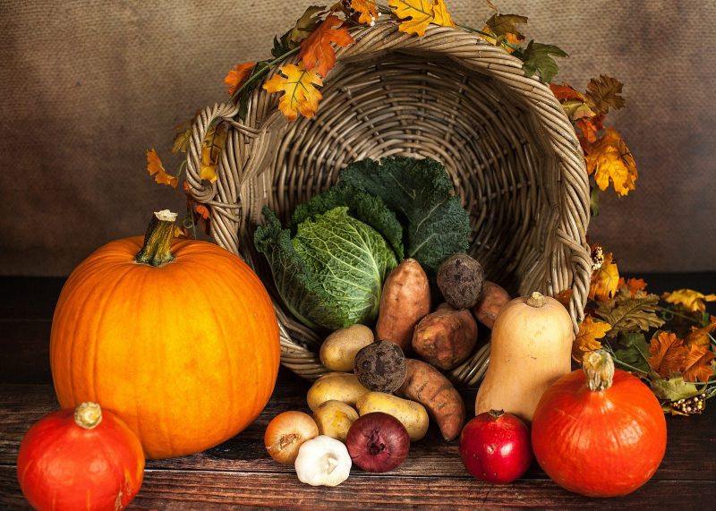 Pumpkins and other thanksgiving foods
