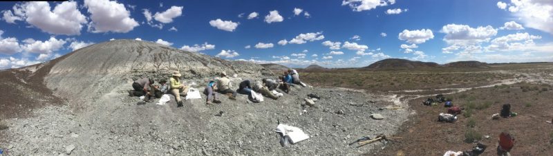 11 people kneel on their knees or lay flat and sit on the hard earth of the National Petrified Forest. They are using small tools to dig into the ground.