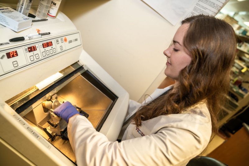 Katelyn Stebbins, a student in the Translational Biology, Medicine and Health graduate program, works with a cryostats to prepare tissue samples for microscopic examination at the Fralin Biomedical Research Institute.