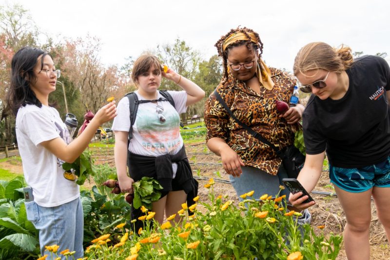 Four teens gather around yellow flowers, picking them and putting them in their hair.