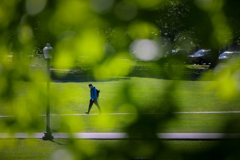 A student, seen through trees and from a distance, walks across the Drillfield.