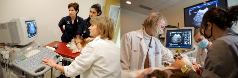 Two photos (2008 and 2021) of Dr. Martha Larson doing an ultrasound.
