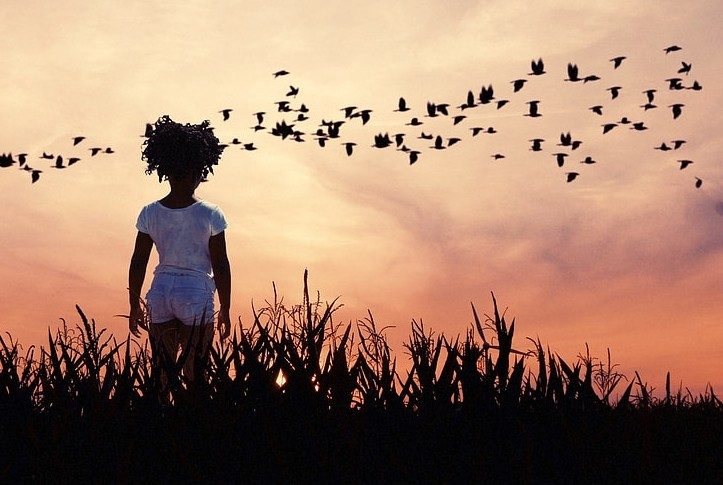 A girl stands in the foreground of a landscape at sunset with birds flying together in the sky.