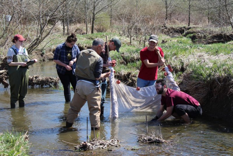 People wearing waders stand in a stream, holding a large net attached to two pieces of wood.