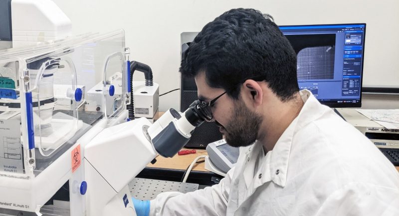 Christian Hernandez-Padilla analyzes cells through a microscope in the lab of Amrinder Nain.