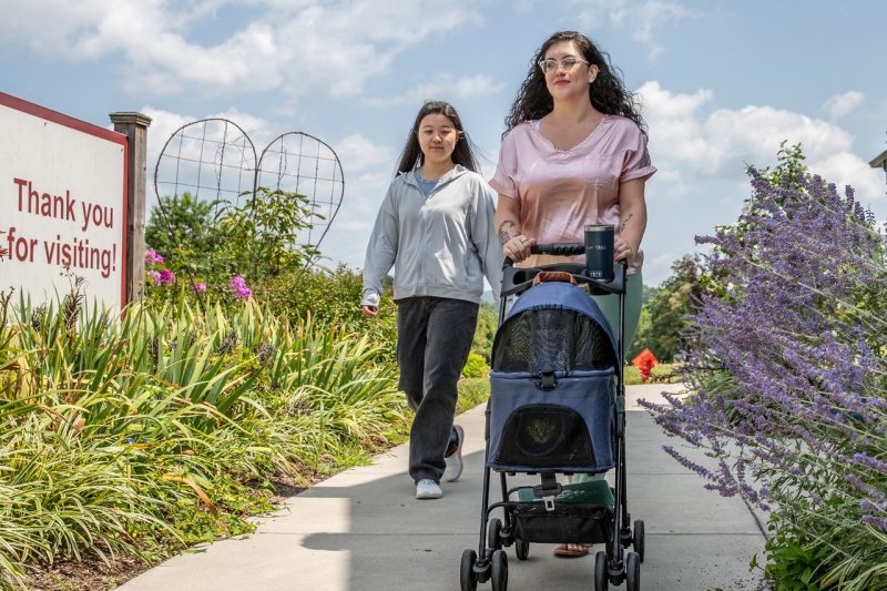 Two people walking through a garden with a cat in a stroller.