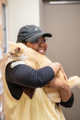 Person holding a large orange cat.