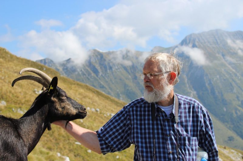 Person and a goat looking at each other with mountains in the background.