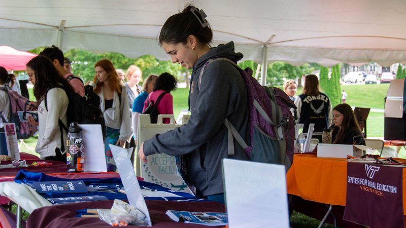 Students browse study abroad opportunities at the Global Education Office Fall Fair on the Drillfield. 